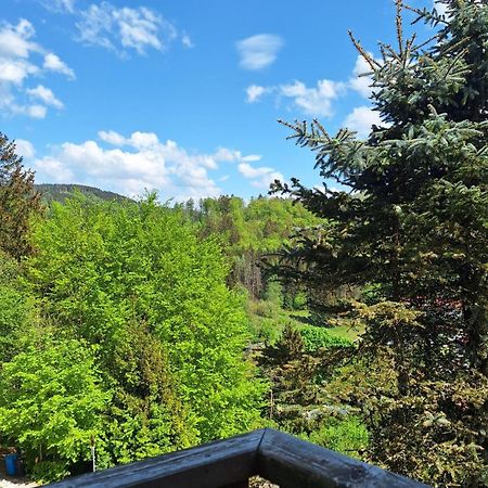 바트그룬드 Haus Westharz Goslar 아파트 외부 사진