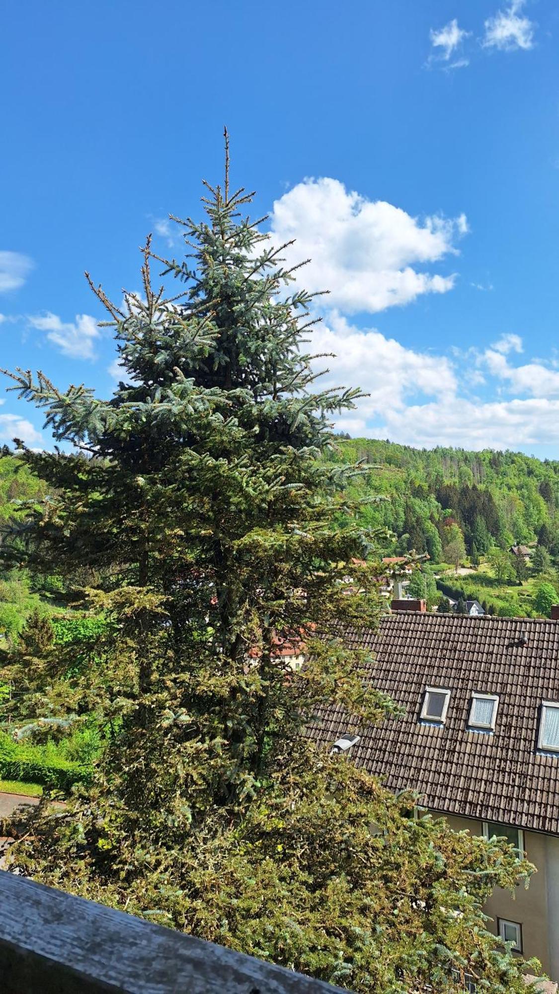바트그룬드 Haus Westharz Goslar 아파트 외부 사진